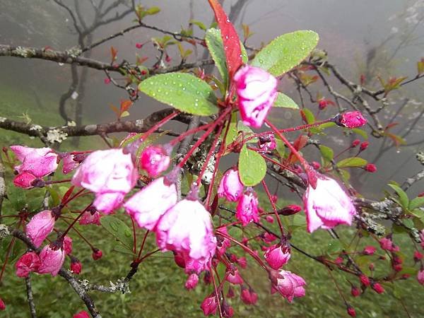 100_5964.JPG