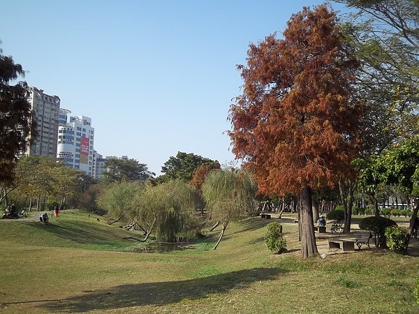 100_4686.JPG