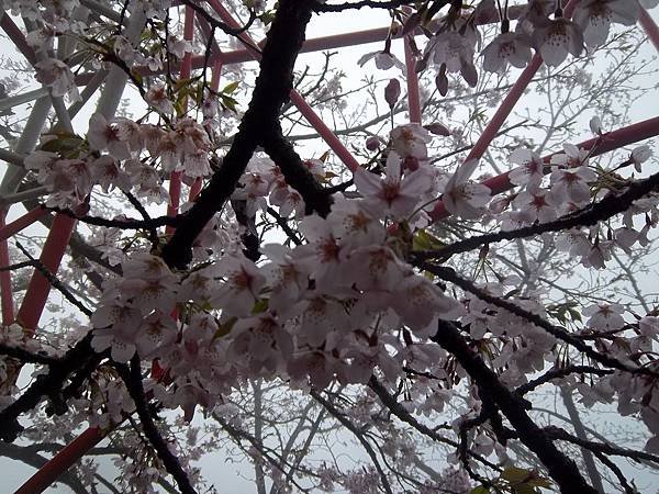 100_5990.JPG