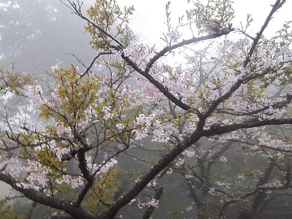 100_5970.JPG