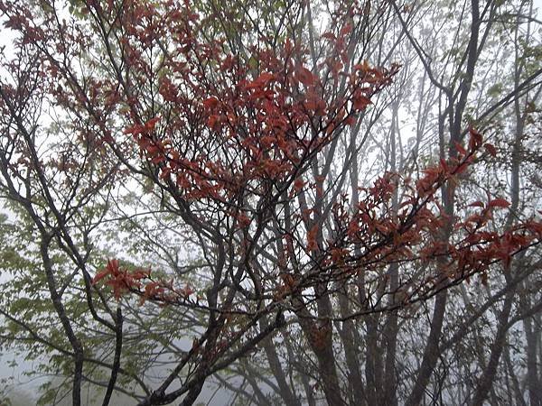 100_6067.JPG