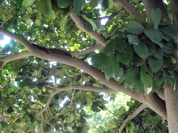 100_4722.JPG