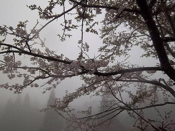 100_6098.JPG