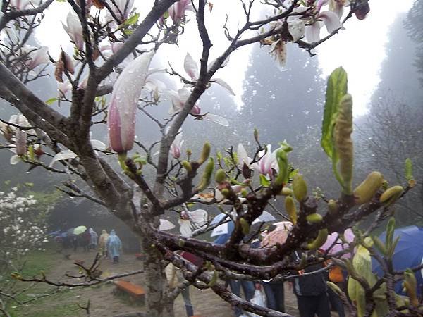 100_6182.JPG
