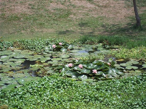 100_0985.JPG