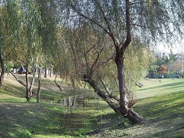 100_4675.JPG