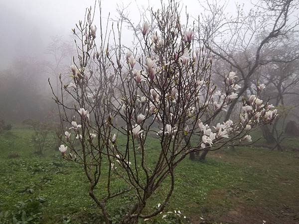 100_6171.JPG