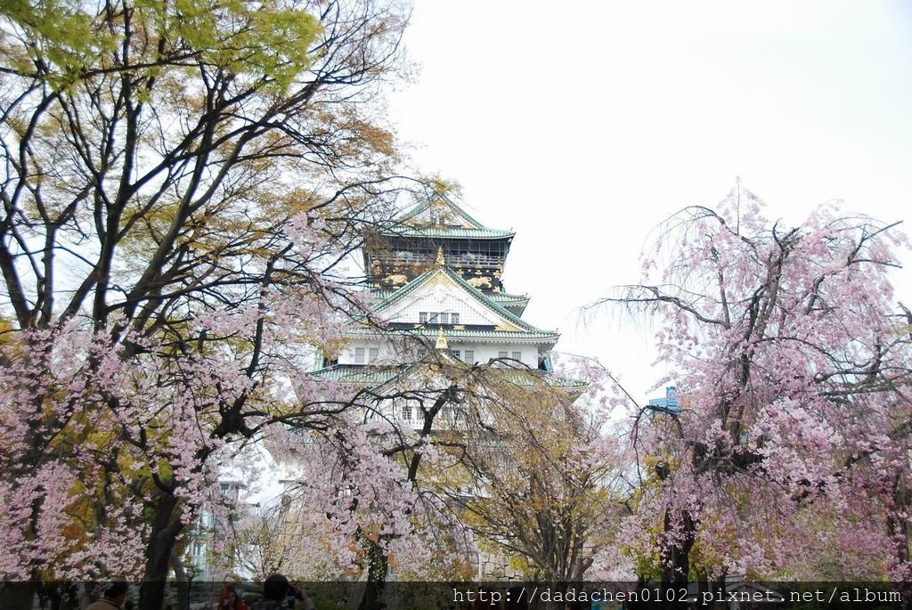 20140407 大阪城天守閣10