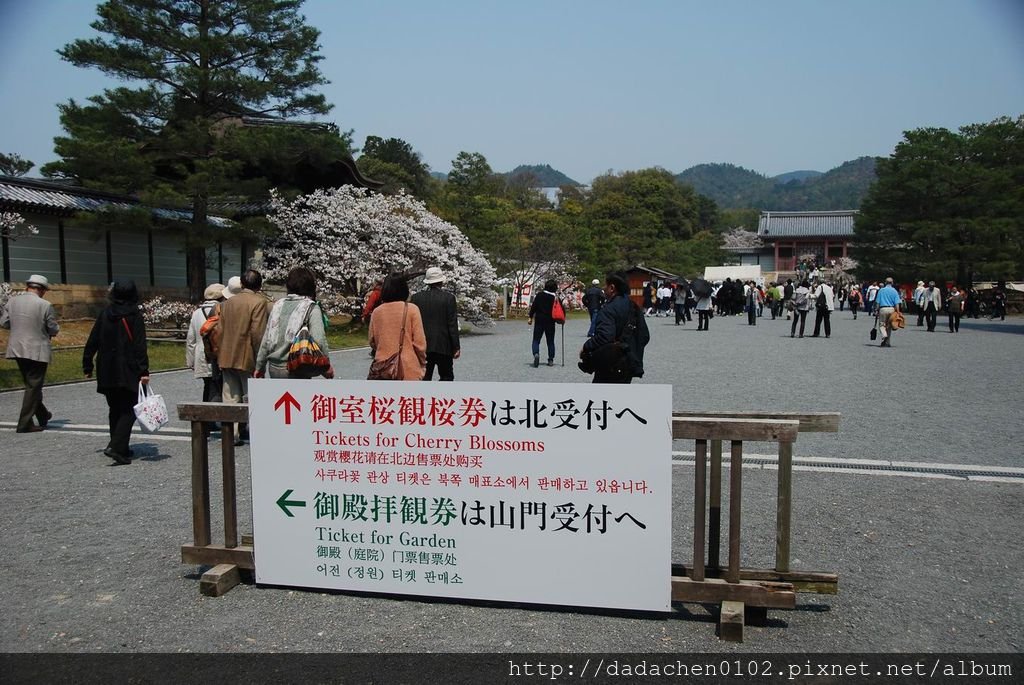20140410 仁和寺-013.JPG