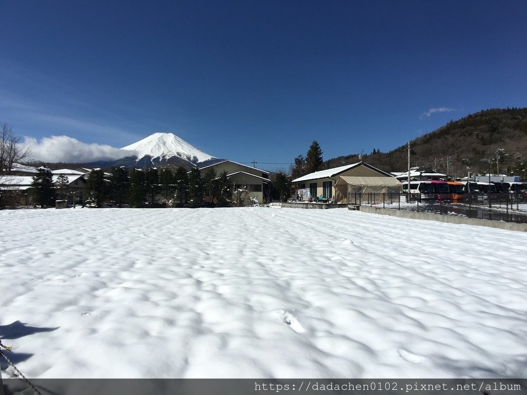 20190411-02忍野八海-087.JPG