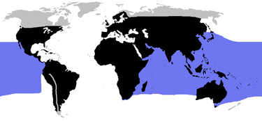 World.distribution.serpentes.1.png