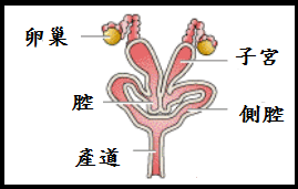 未命名.png