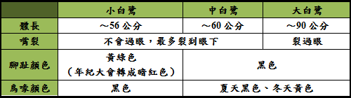 未命名.png