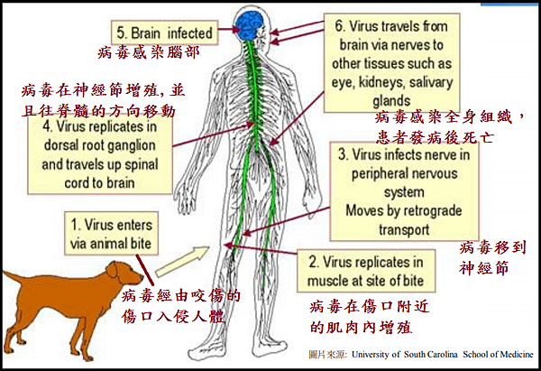 未命名.png