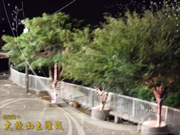 PhotoCap_004.jpg