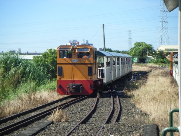 3. 0628 新營糖廠五分車 (6).JPG