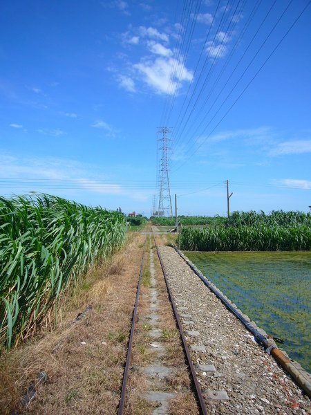 4. 0628 柳營八老爺牧場 (78).JPG