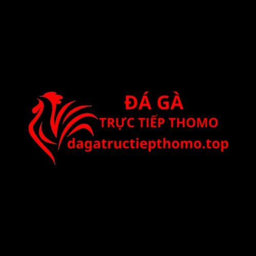 Đá Gà Trực Tiếp Thomo Hôm Nay 