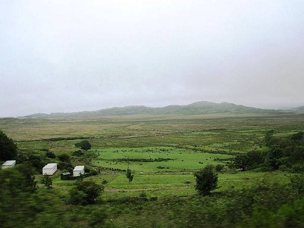 20130627 (60).JPG