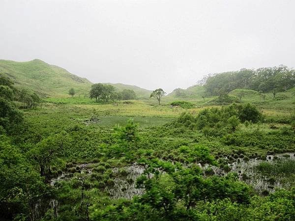 20130627 (63).JPG