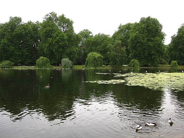20130702 (23).JPG