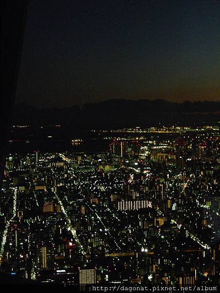 DSCN6898.JPG