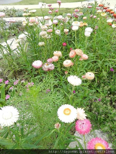 20140623 (42).JPG