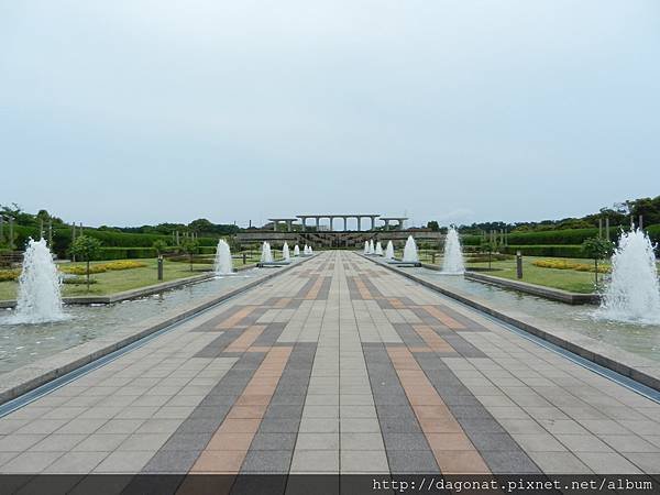 20140623 (56).JPG