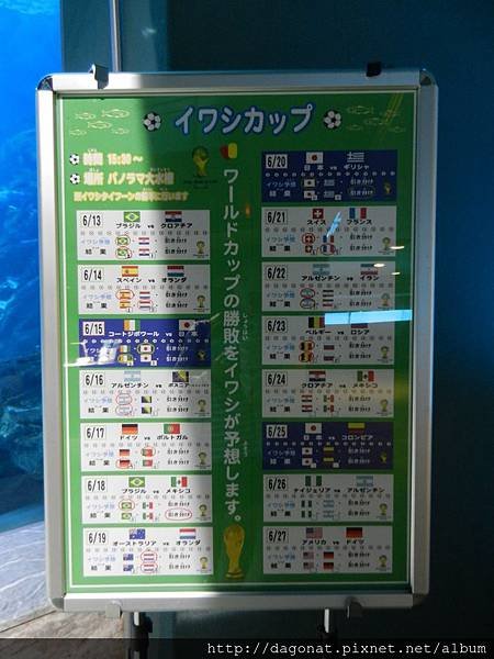 20140623 (103).JPG
