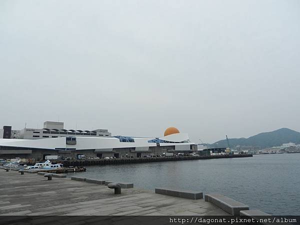 20140625 (8).JPG