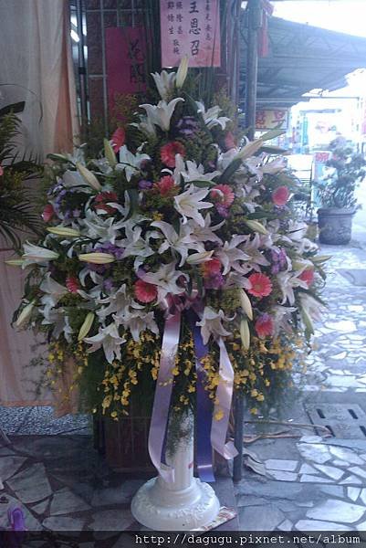 IMAG0166
