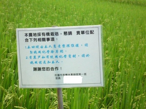 相片小畫家上傳