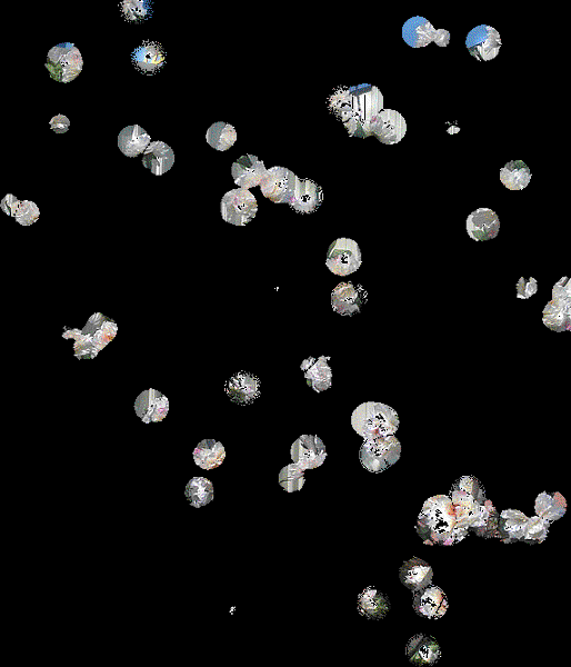 IMAG1732-TWINKLE