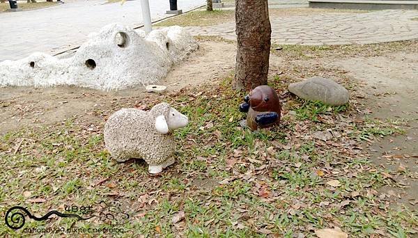 IMAG0434.jpg