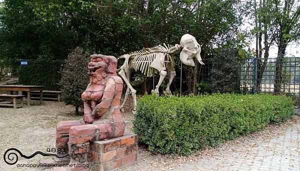 IMAG0422.jpg