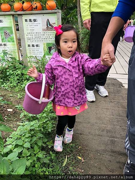 S__17932403.jpg