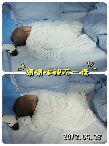 回上一層(熱鍵:b)