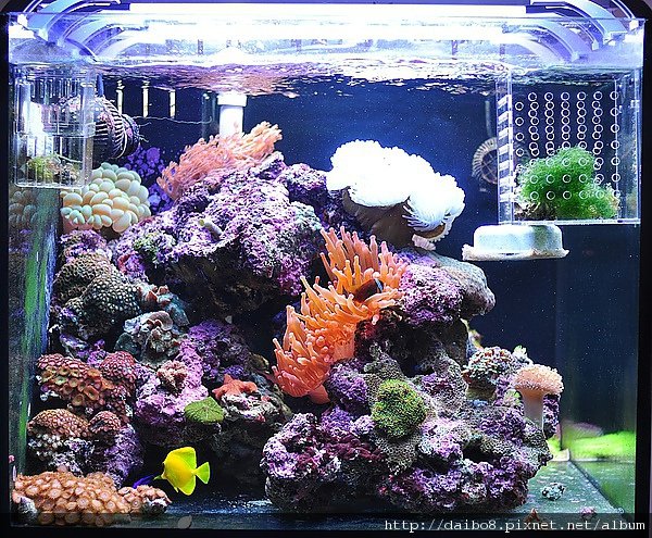 929四個月正面全景