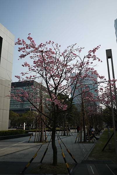 P1110722