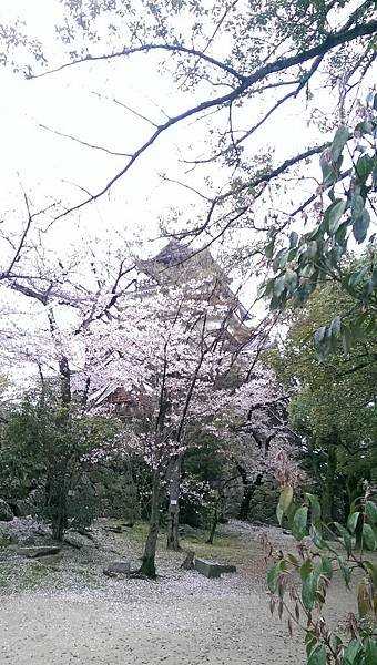 IMAG9924