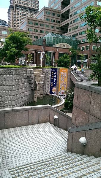 IMAG6043