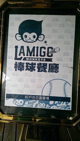 IMAG6116