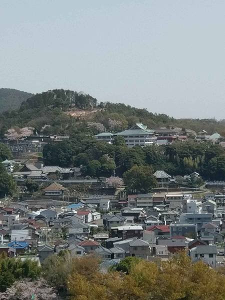 20190406名古屋第三天_190410_0231.jpg