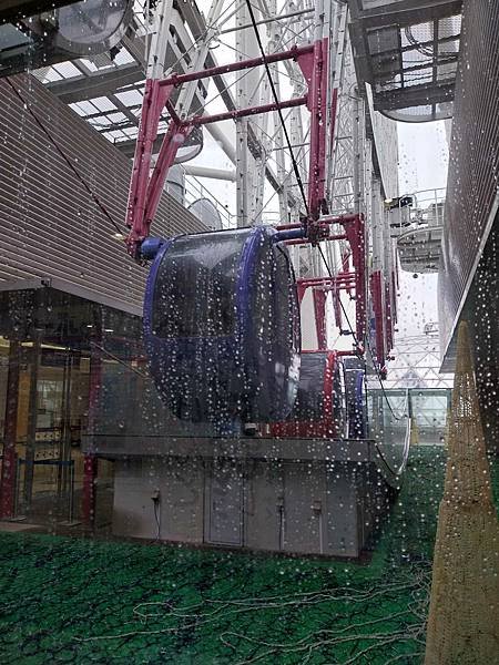 20230407_120511.jpg
