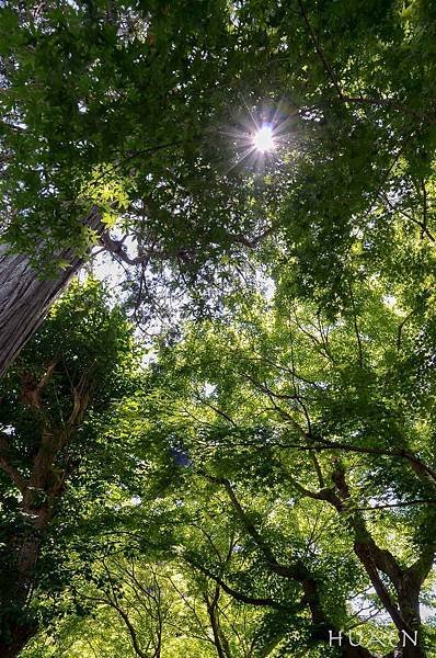 20180603-DSC_6770.jpg