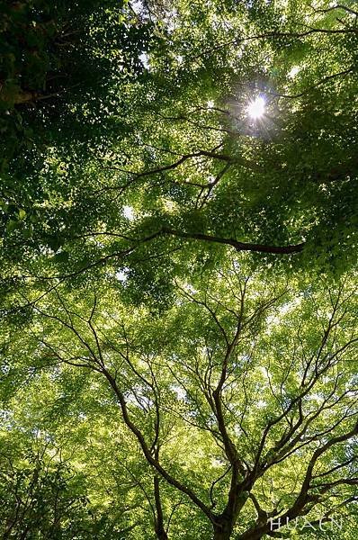 20180603-DSC_6775.jpg