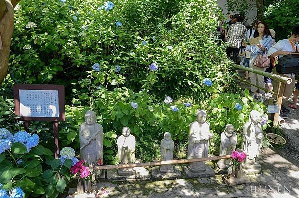 20180603-DSC_6868.jpg