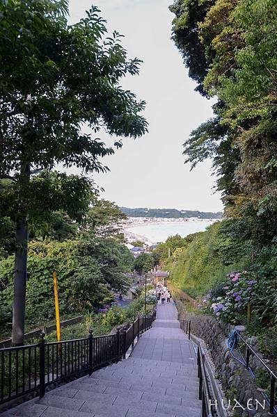 20180603-DSC_6916.jpg