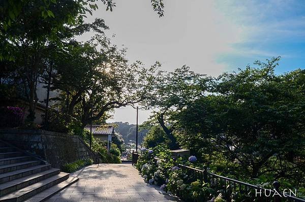 20180603-DSC_6927.jpg