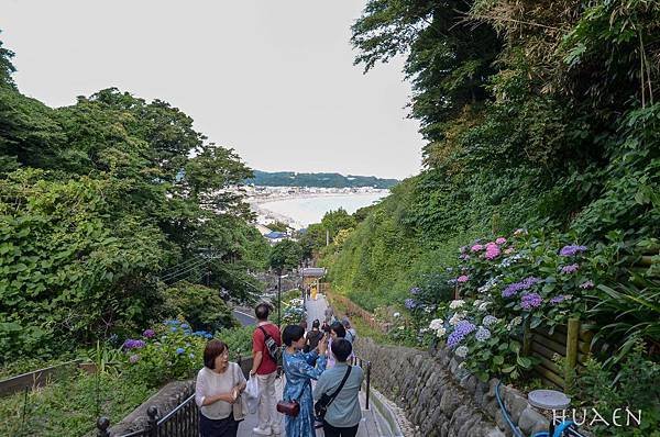 20180603-DSC_6930.jpg